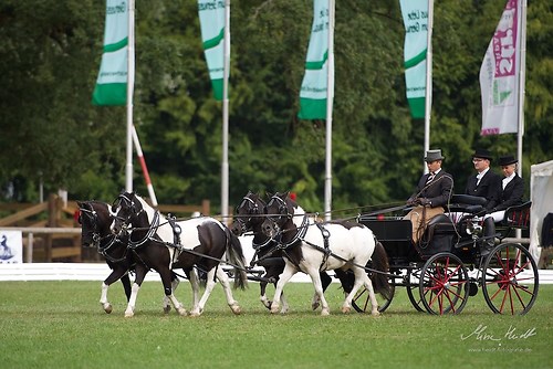 CHI_20160915_MHE9636