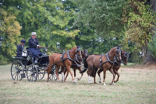 CHI_20160915_MHE9651