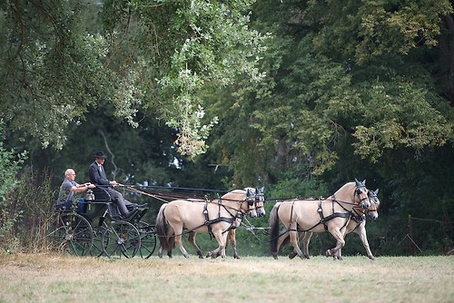 CHI_20160915_MHE9660