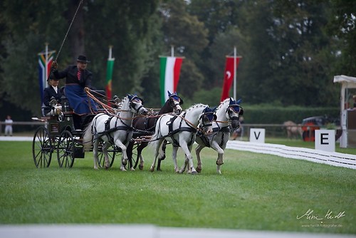 CHI_20160915_MHE9714