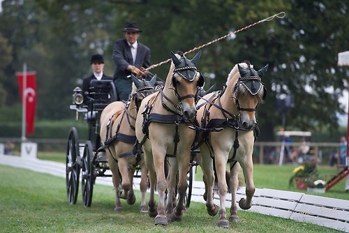 CHI_20160915_MHE9732