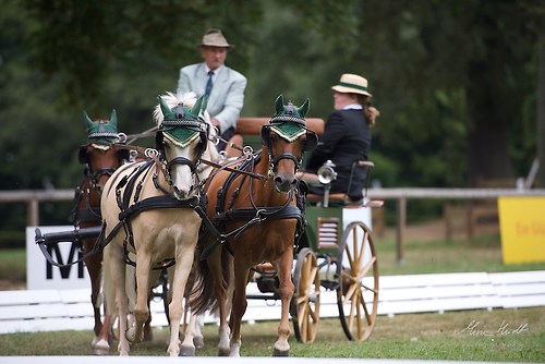 CHI_20160915_MHE9748