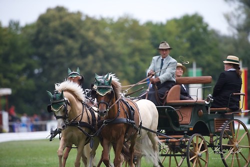 CHI_20160915_MHE9754