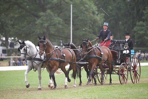 CHI_20160915_MHE9817