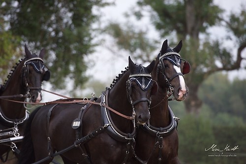 CHI_20160915_MHE9821