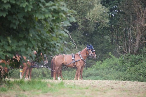 CHI_20160915_MHE9846