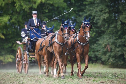 CHI_20160915_MHE9868