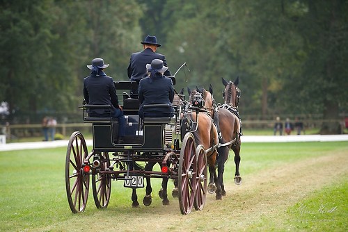 CHI_20160915_MHE9876