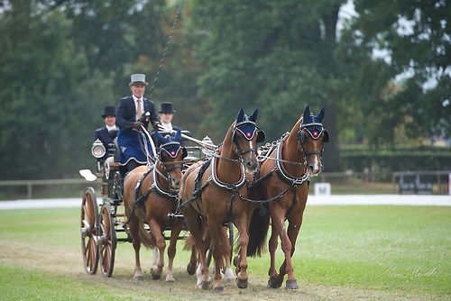 CHI_20160915_MHE9925