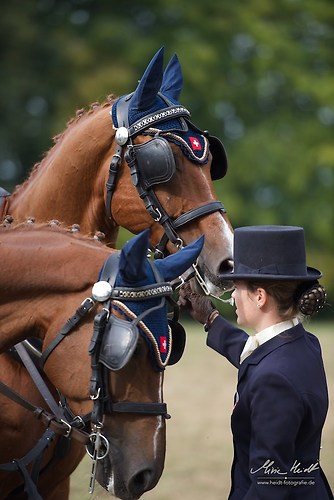 CHI_20160915_MHE9932