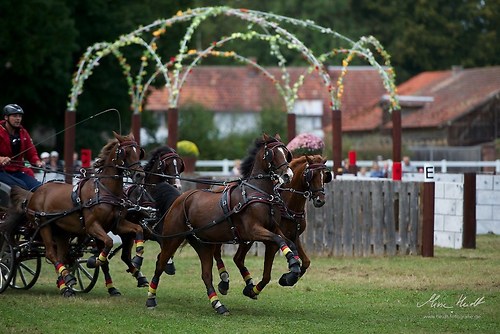 CHI_20160917_MHE1346