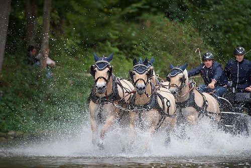 CHI_20160917_MHE1351