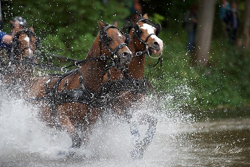 CHI_20160917_MHE1376