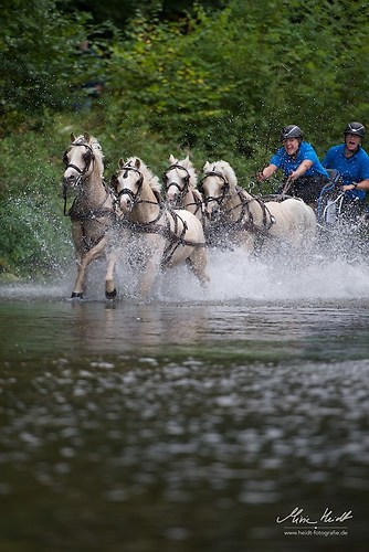 CHI_20160917_MHE1382