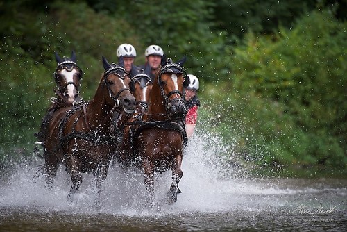 CHI_20160917_MHE1394