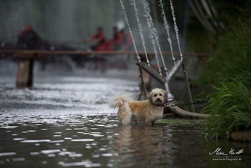 CHI_20160917_MHE1405