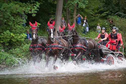 CHI_20160917_MHE1409