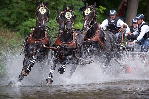 CHI_20160917_MHE1422