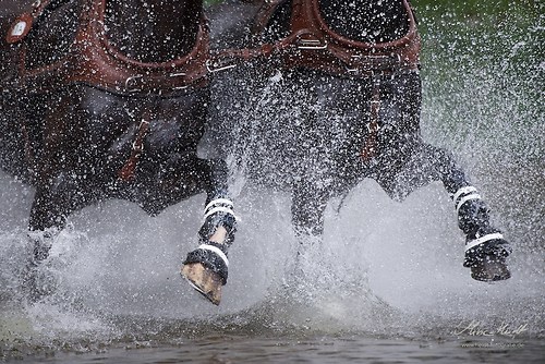 CHI_20160917_MHE1425