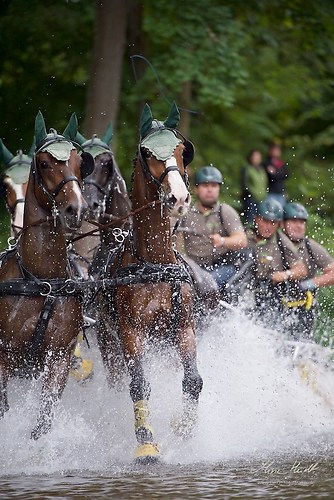 CHI_20160917_MHE1432