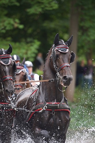 CHI_20160917_MHE1457