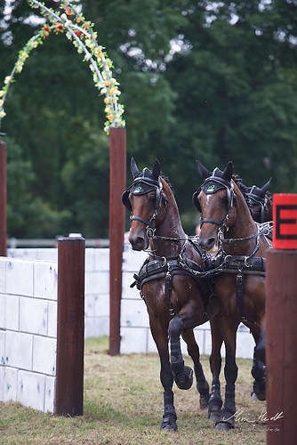 CHI_20160917_MHE1480