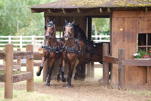 CHI_20160917_MHE1488