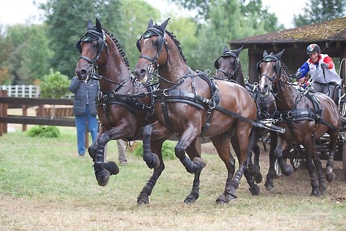 CHI_20160917_MHE1505