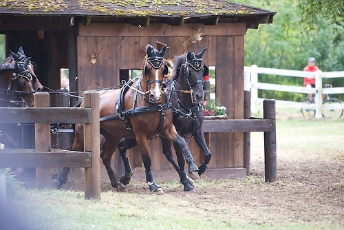 CHI_20160917_MHE1525