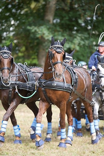 CHI_20160917_MHE1546