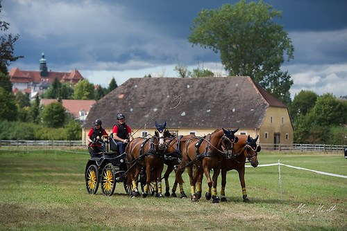 CHI_20160917_MHE1555