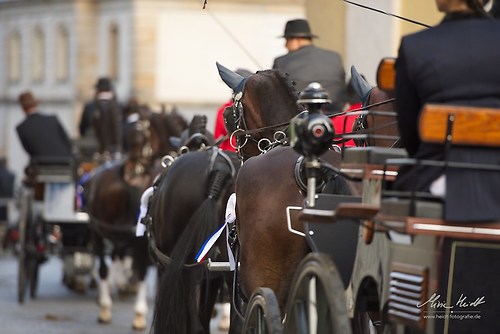 CHI_20160915_MHE0056