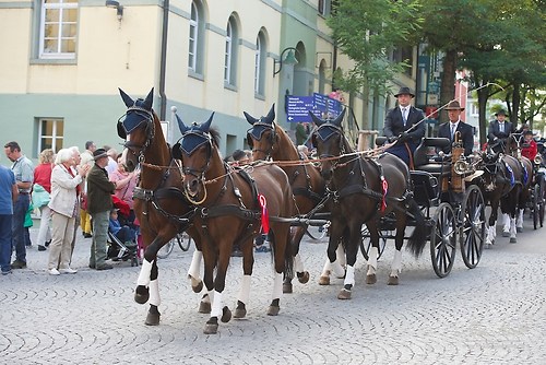 CHI_20160915_MHE0048