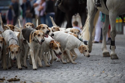 CHI_20160915_MHE0107