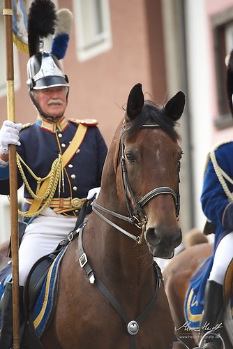 CHI_20160915_MHE0122