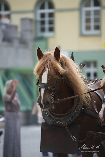 CHI_20160915_MHE0170