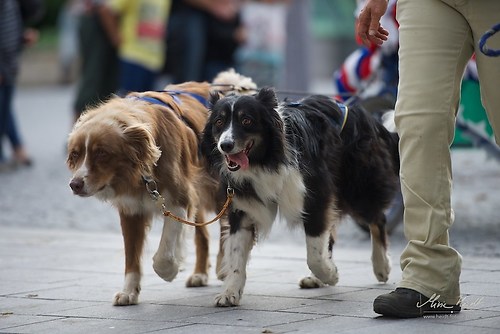 CHI_20160915_MHE0175