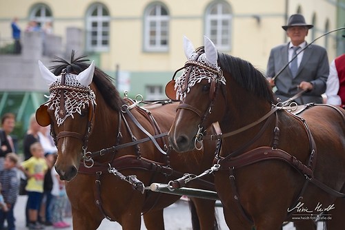 CHI_20160915_MHE0188