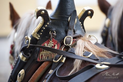 CHI_20160915_MHE0192