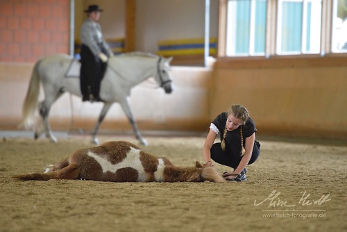 BRZ_20171003_MHE4238