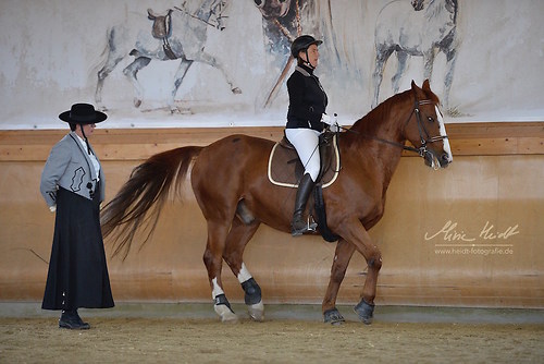 BRZ_20171003_MHE4383