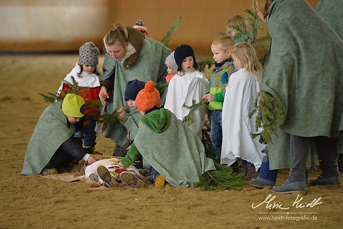 BRZ_20171203_MHE7402