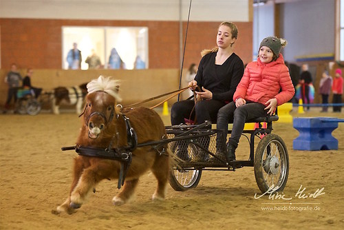 BRZ_20171203_MHE7616