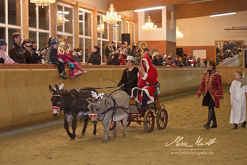 BRZ_20171203_MHE7960