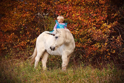 Herbst_20171104EInh_20171104_MHE7163 V2