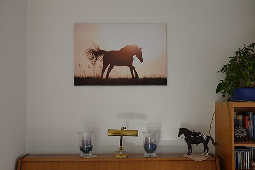 Wandbild_2_Reitpony_Leinw