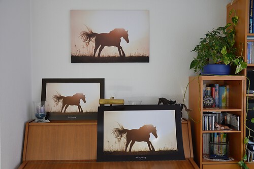 Wandbild_3_Reitpony