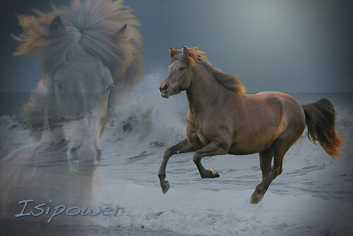 Collage_Isi_auf_Welle