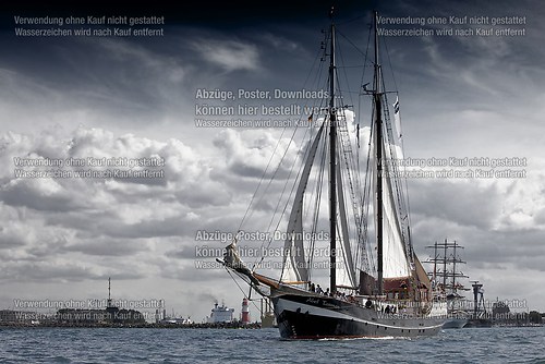 Hanse Sail (Hanse Sail 2013 (1))