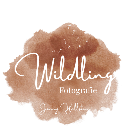 Wildling Fotografie Janny Hollstein